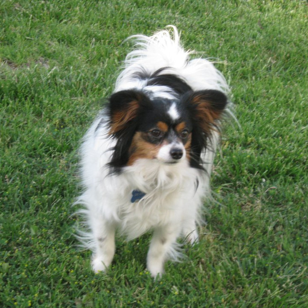 Meet your Posher, Linda